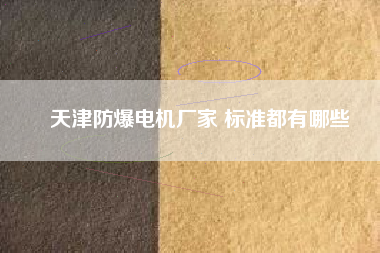 天津防爆電機廠家 標(biāo)準(zhǔn)都有哪些