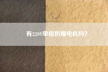 有220V單相防爆電機(jī)嗎？